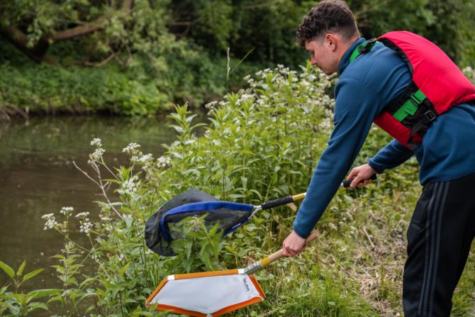 Participating in a Bioblitz using nets.